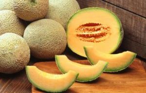 Hami melón prášok