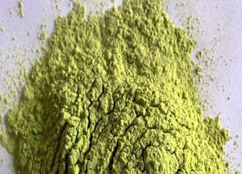 Broccoli Sprout Extract Powder (2)