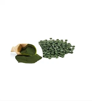 Chlorella v organickom prášku