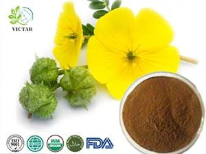 Extrakt z Tribulus Terrestris
